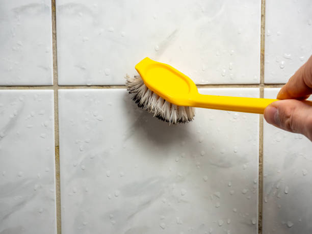 Best Mold Removal Near Me  in West Lealman, FL